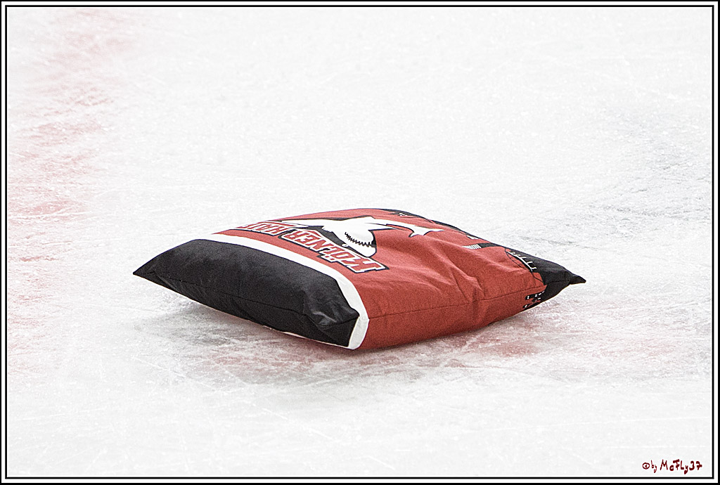 DEL, Koelner Haie - Grizzlys Wolfsburg, 17.03.2017